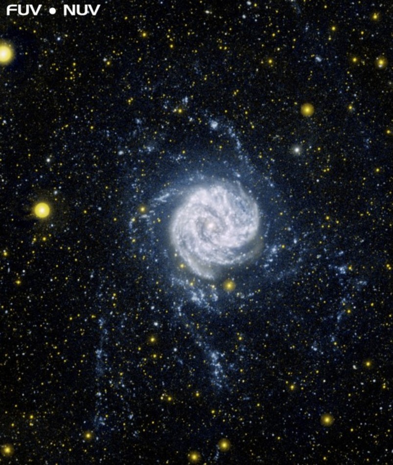 Southern Pinwheel Galaxy (M83) radio and ultraviolet