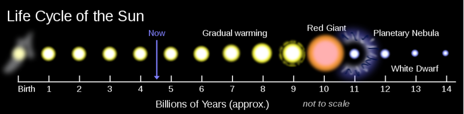 Life Cycle of the Sun