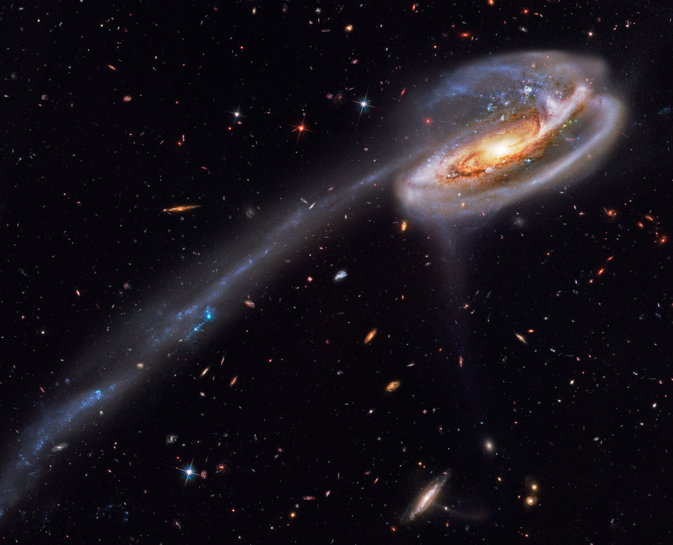 Arp 188 - The Tadpole Galaxy