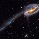 Arp 188 - die Kaulquappengalaxie