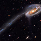 Arp 188 - The Tadpole Galaxy