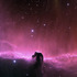 The Horsehead Nebula