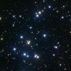 M44 - Beehive Cluster