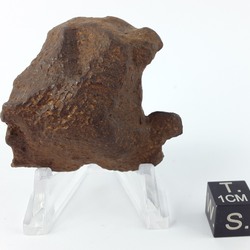 Gebel Kamil 131.6 g