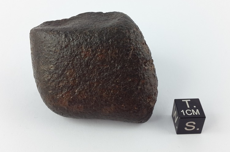 Chondrit 154.4 g