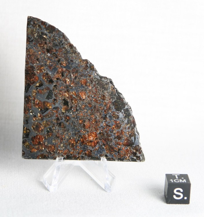 Seymchan slice - 49.2 g