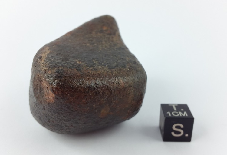 Chondrite 141.4 g
