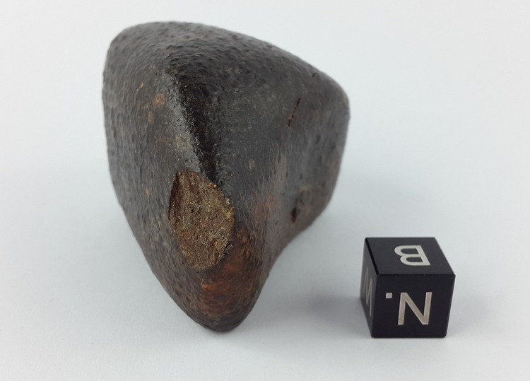 Chondrite 141.4 g