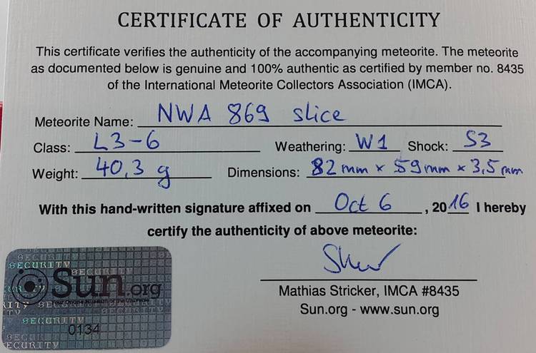 NWA 869 Scheibe 40.3 g