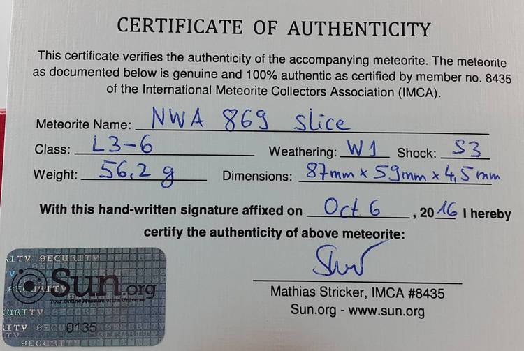 NWA 869 slice 56.2 g