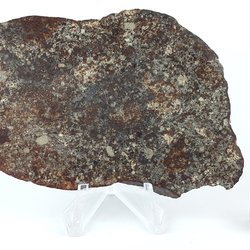 NWA 869 Scheibe 56.2 g