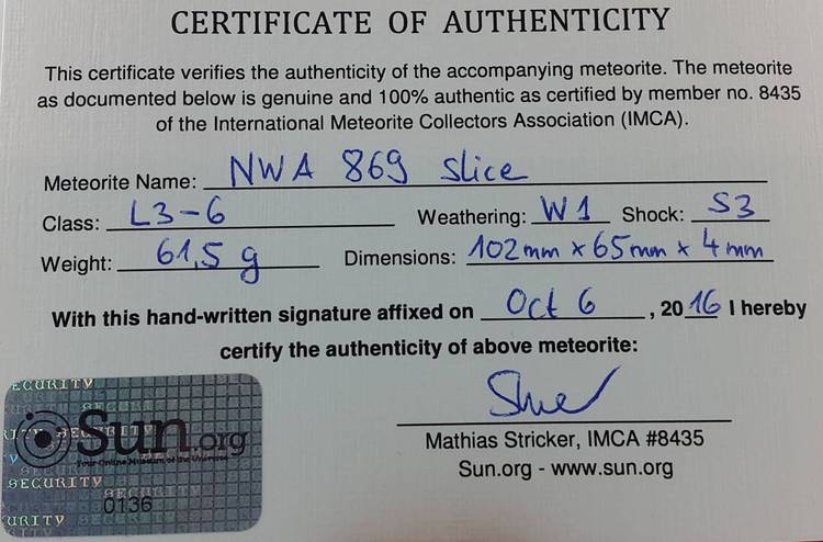 NWA 869 slice 61.5 g