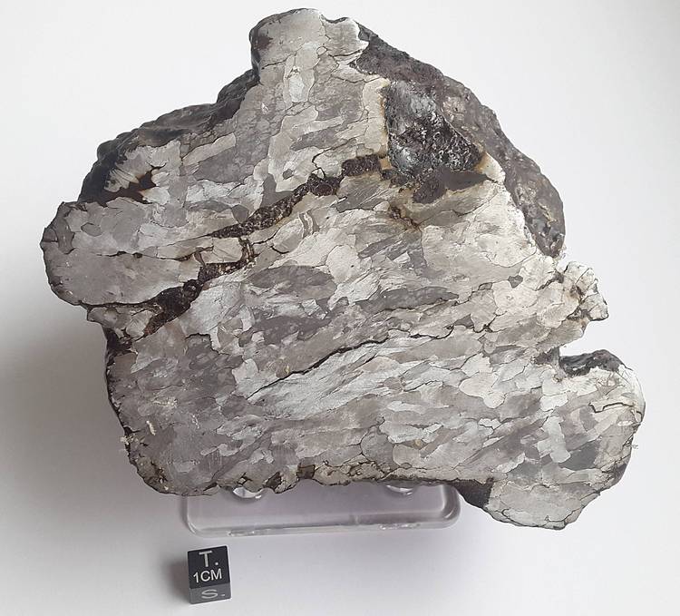 Campo del Cielo 4030 g - etched end cut meteorite Campo del Cielo 4030 g - etched end cut