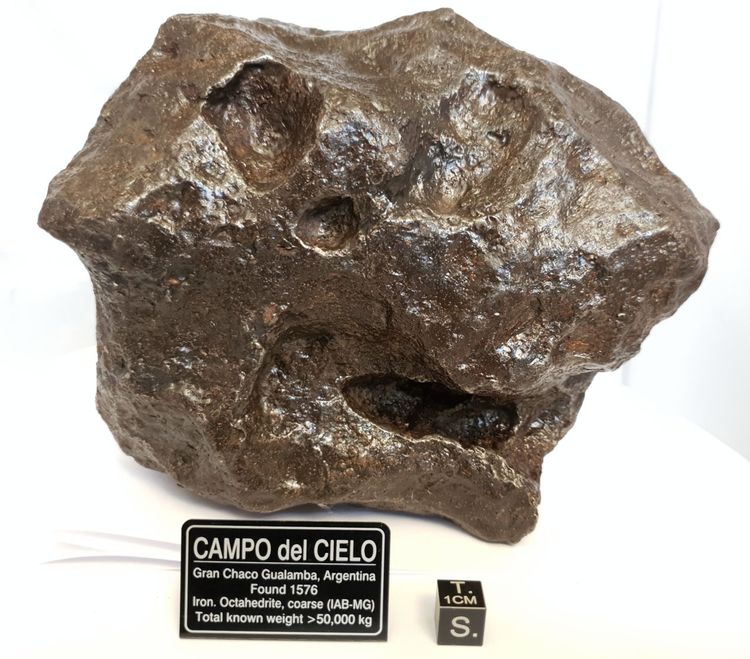 Campo del Cielo 8530 g