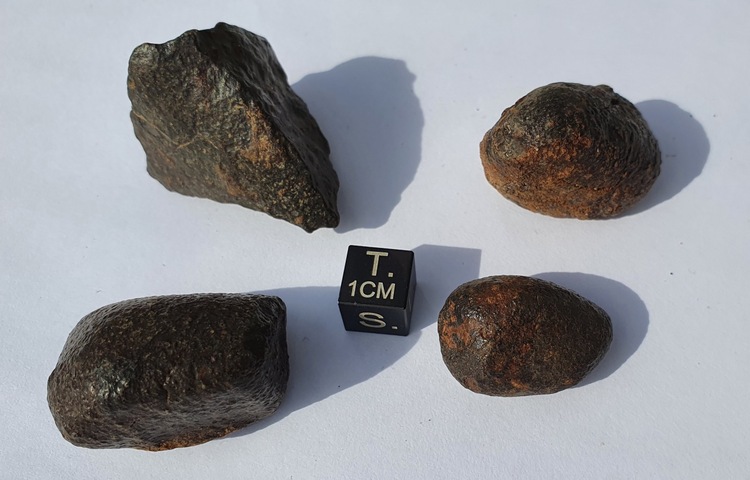 4 NWA XXX Meteorites - 103.0 g in Total