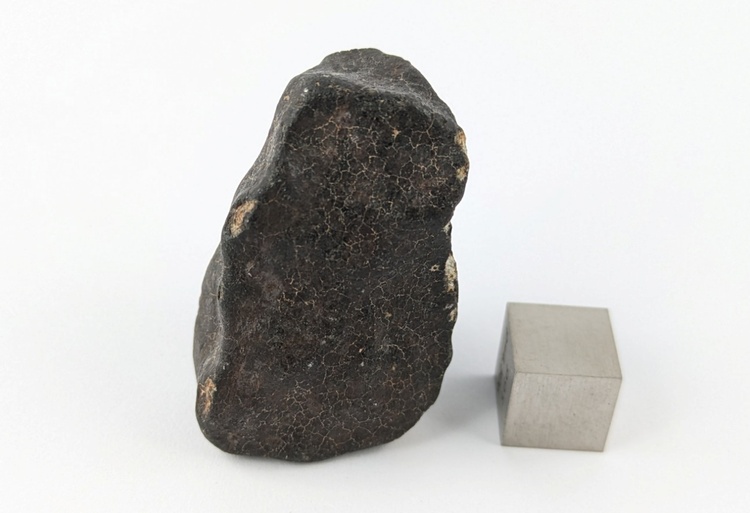 NWA XXX 35.5 g meteorite NWA XXX 35.5 g