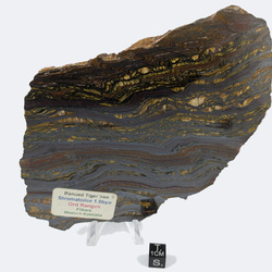 Banded Iron Formation - 362.2 g