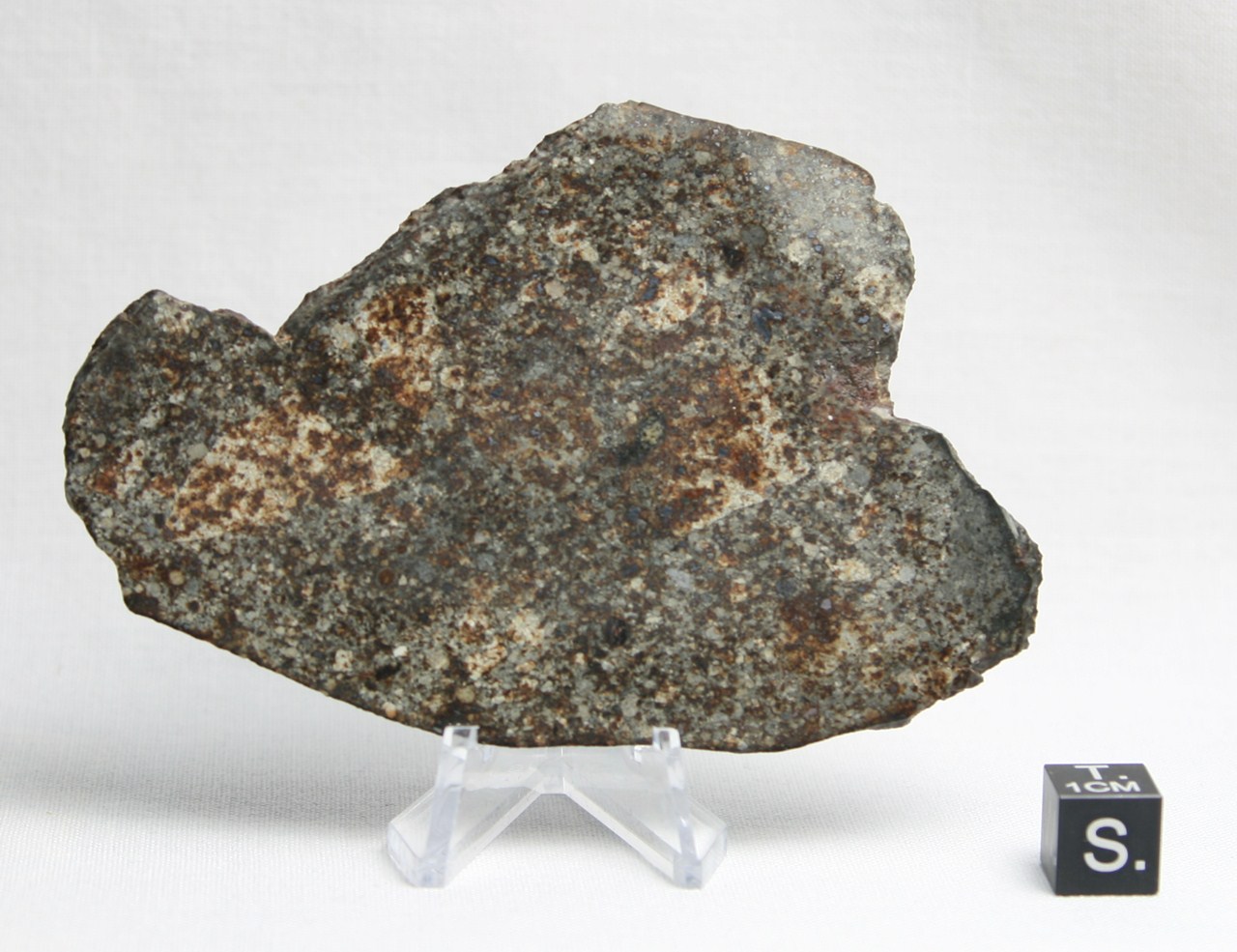 NWA 2844 L5 meteorite slice in Square display case Early NWA number 