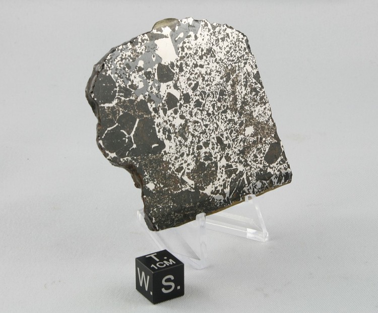 Seymchan slice - 61.8 g