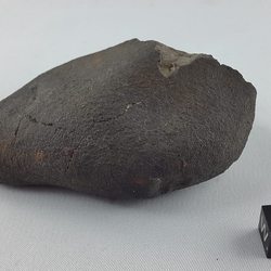 Gao-Guenie 282.1 g