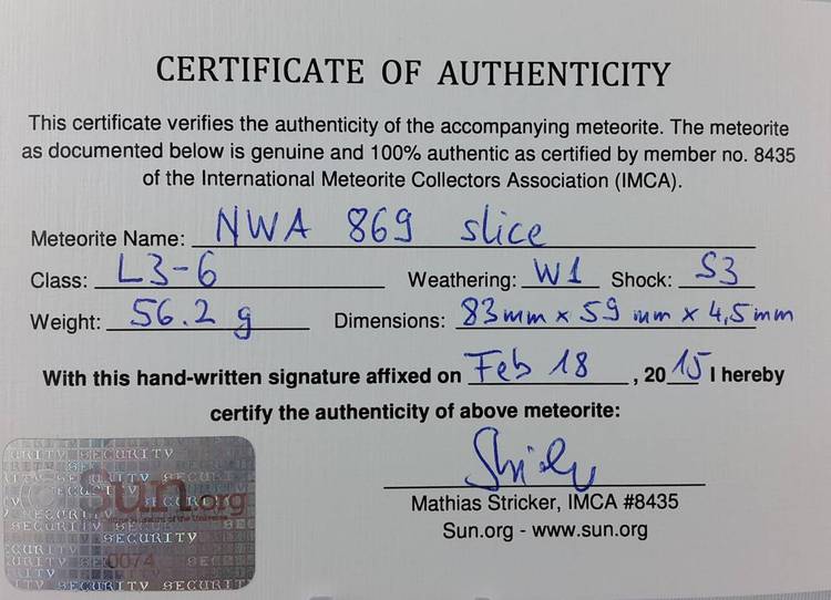 NWA 869 slice - 56.2 g